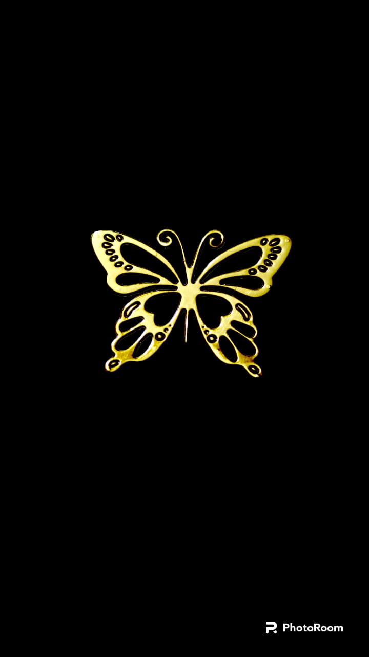 প্রজাপতি ক্রাফট / butterfly craft