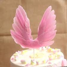 পাখনা টপার