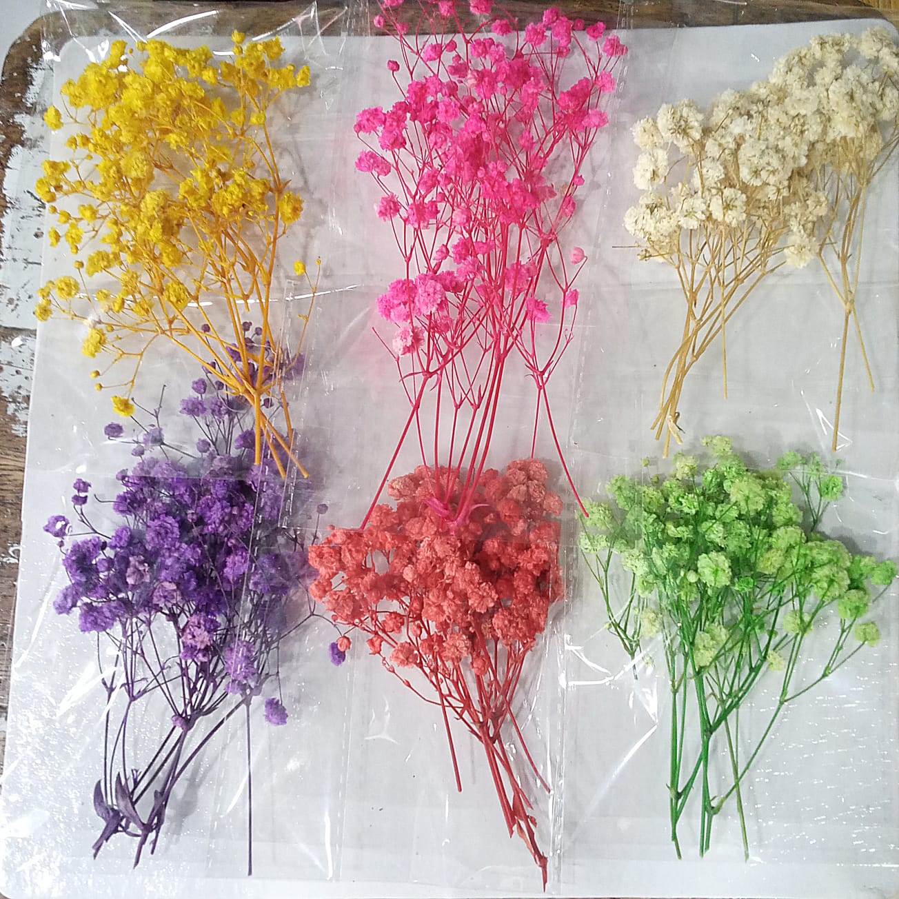 ড্রাই জিপসি ফুল